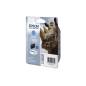 EPSON T1002 / T100240 / C13T10024010 DURABrite Ultra Ink EPSON T1002 / T100240 / C13T10024010 DURABrite Ultra Ink