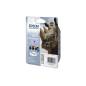 EPSON T1006 / T100640 / C13T10064010 EPSON T1006 / T100640 / C13T10064010