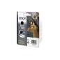 EPSON T1301 / T130140 / C13T13014012