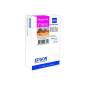 EPSON T7013 / T701340 / C13T70134010 EPSON T7013 / T701340 / C13T70134010