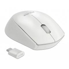 Delock Mobile Maus 12668 USB Type-C kabellos