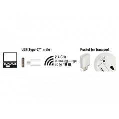 Delock Mobile Maus 12668 USB Type-C kabellos