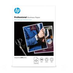 HP Professional 7MV80A
