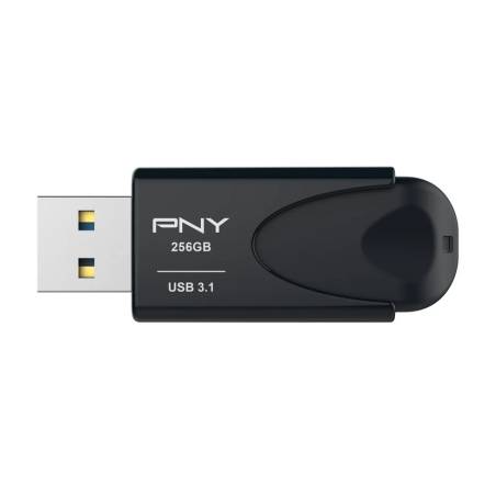PNY FD256ATT431KK-EF
