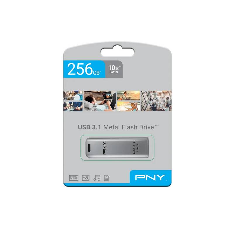 PNY FD256ESTEEL31G-EF