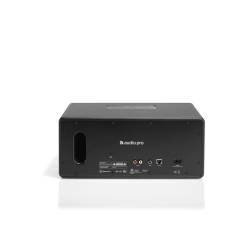 AUDIO PRO D-1 AB