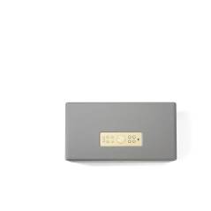 AUDIO PRO  	D-1 DG