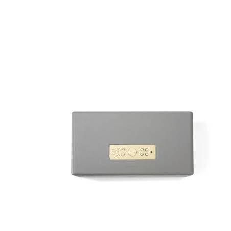 AUDIO PRO  	D-1 DG