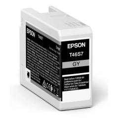 EPSON T46S700