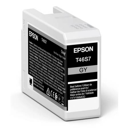 EPSON T46S700