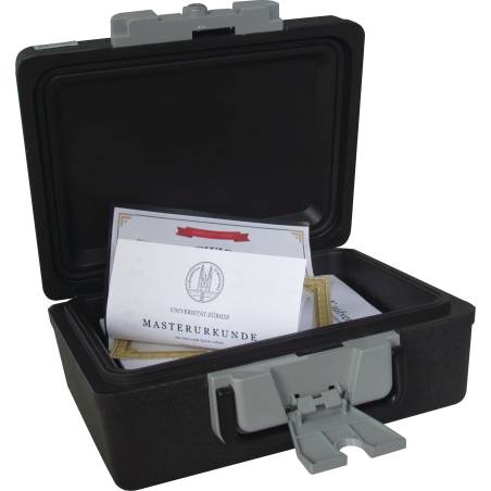 RIEFFEL / SecuritCase6
