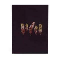 ROOST / 511232