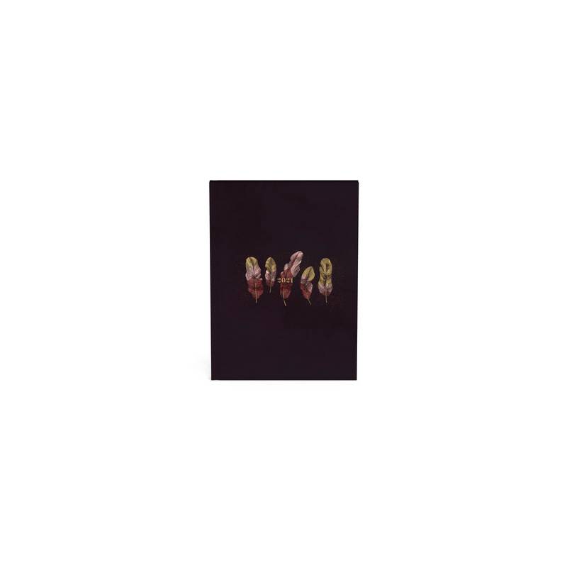 ROOST / 511232