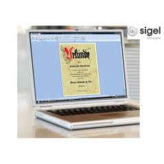 SIGEL DP 548