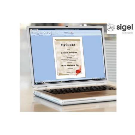 SIGEL DP 521