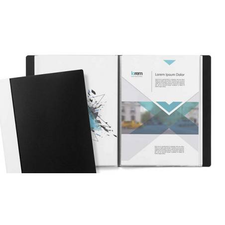 DURABLE Sichtbuch Duralook / 242401