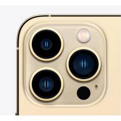 Apple iPhone 13 Pro Max 1 TB Gold