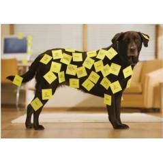 POST-IT 636B