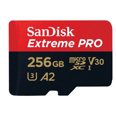 SANDISK 130672
