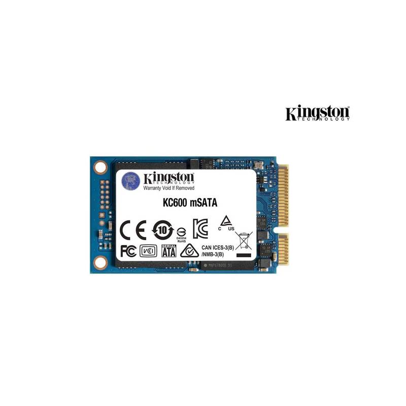 KINGSTON SKC600MS/256G