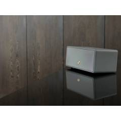 AUDIO PRO Speaker D-2