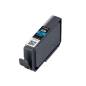 CANON PFI-300PC / 4197C001