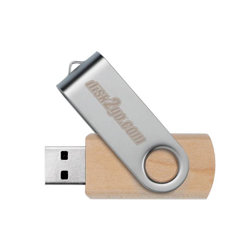 DISK2GO 30006667