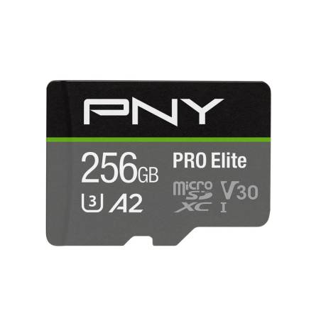 PNY P-SDU256V32100PRO-GE