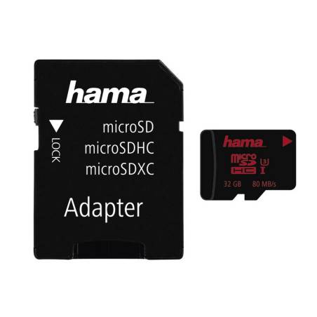 HAMA 123981
