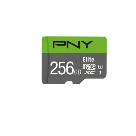 PNY P-SDU256V11100EL-GE