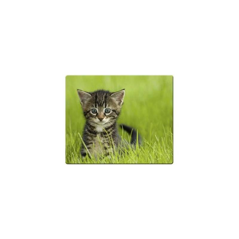 SPEEDLINK SL-6242-P12