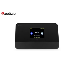 Audizio Radio-Tuner Adapter Livorno Schwarz