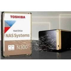 Toshiba N300