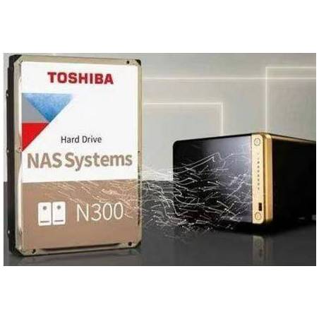 Toshiba N300