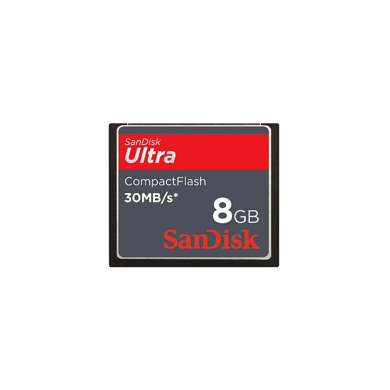 SANDISK / SDCFH-8192 SANDISK / SDCFH-8192