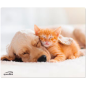 Speedlink SL-620000-DOG Speedlink SL-620000-DOG