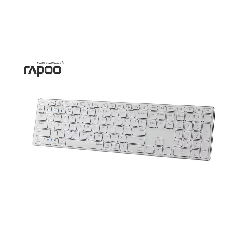Rapoo 11491 Rapoo 11491