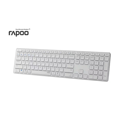 Rapoo 11491
