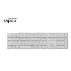 Rapoo 11491