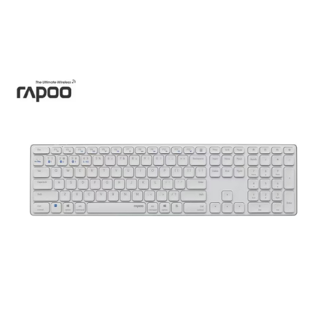 Rapoo 11491