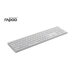 Rapoo 11491
