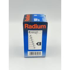 RADIUM 100W / 230V / E27