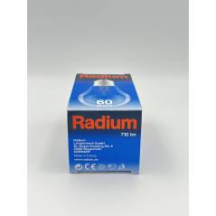 RADIUM 60W / 230V / E27