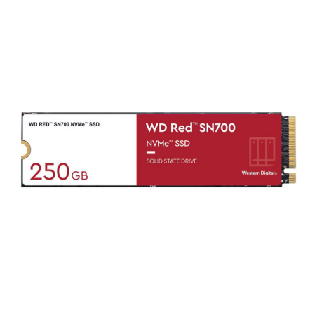 SANDISK / WDS250G1R0C