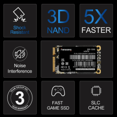 Fanxiang Interne SSD / S301