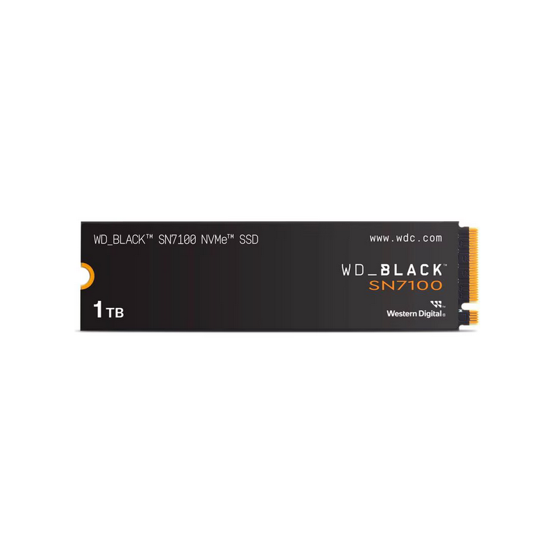 SANDISK WDS100T4X0E SANDISK WDS100T4X0E