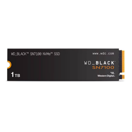 SANDISK WDS100T4X0E