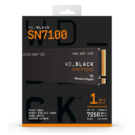 SANDISK WDS100T4X0E
