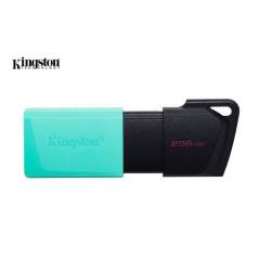 Kingston DTXM/256GB