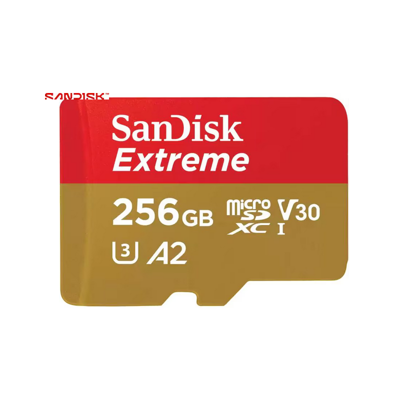 SanDisk SDSQXAV-256G-GN6MA